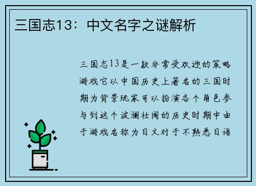 三国志13：中文名字之谜解析